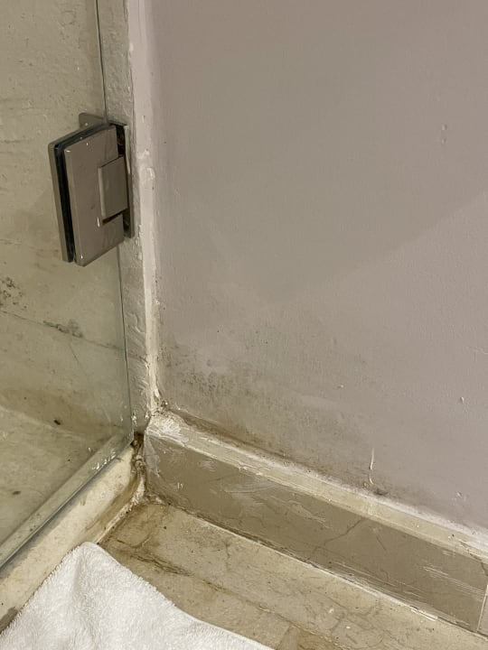 Zimmer Dreams La Romana Resort & Spa