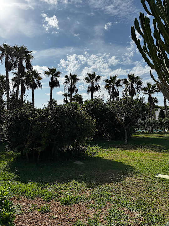 Gartenanlage Cala Llenya Resort Ibiza