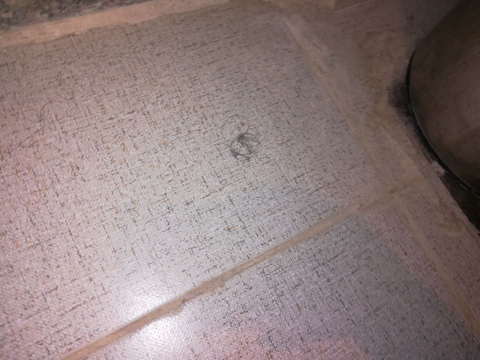 Zimmer Riviera Aqua Park Resort