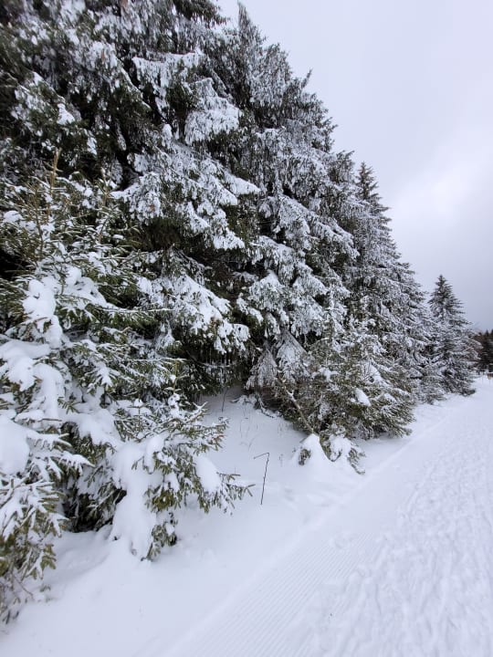Ausblick AHORN Hotel Am Fichtelberg