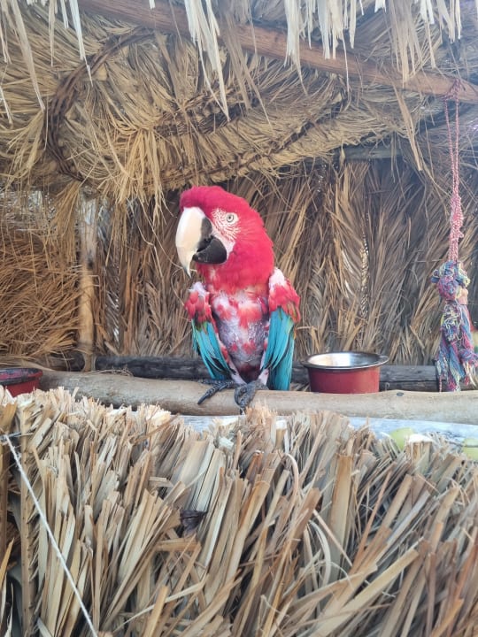 Strand High Beach Resort