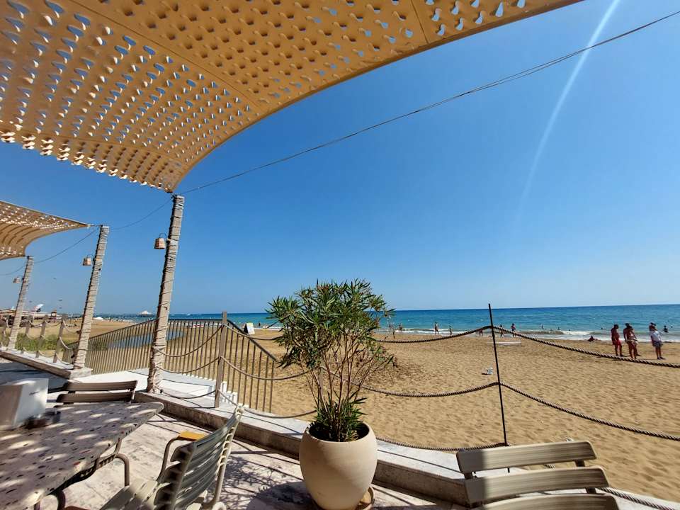 Strand Seashell Vega