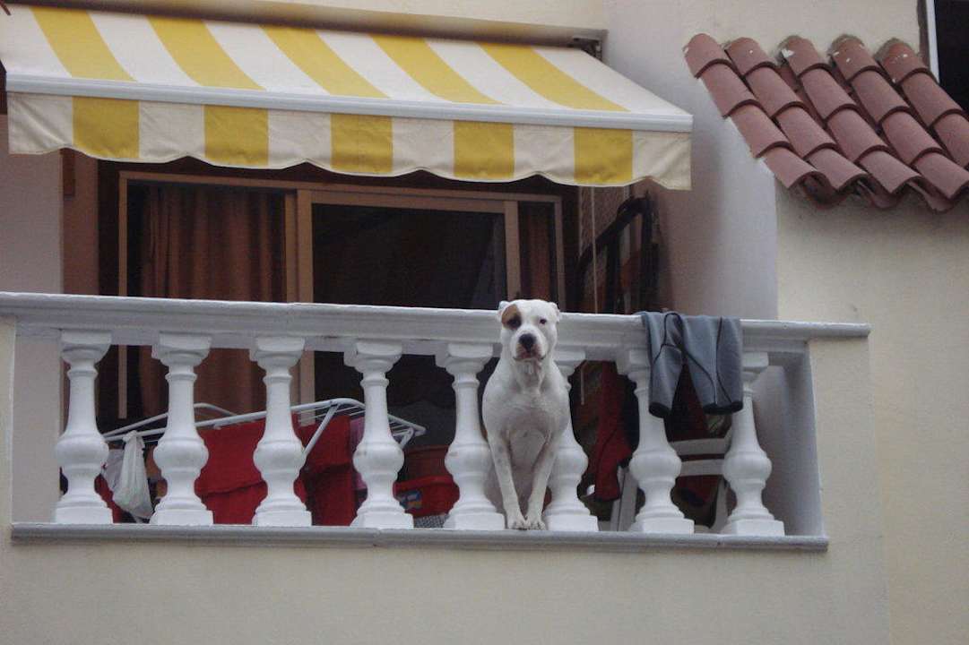 Blick vom Balkon  Hotel Vigilia Park