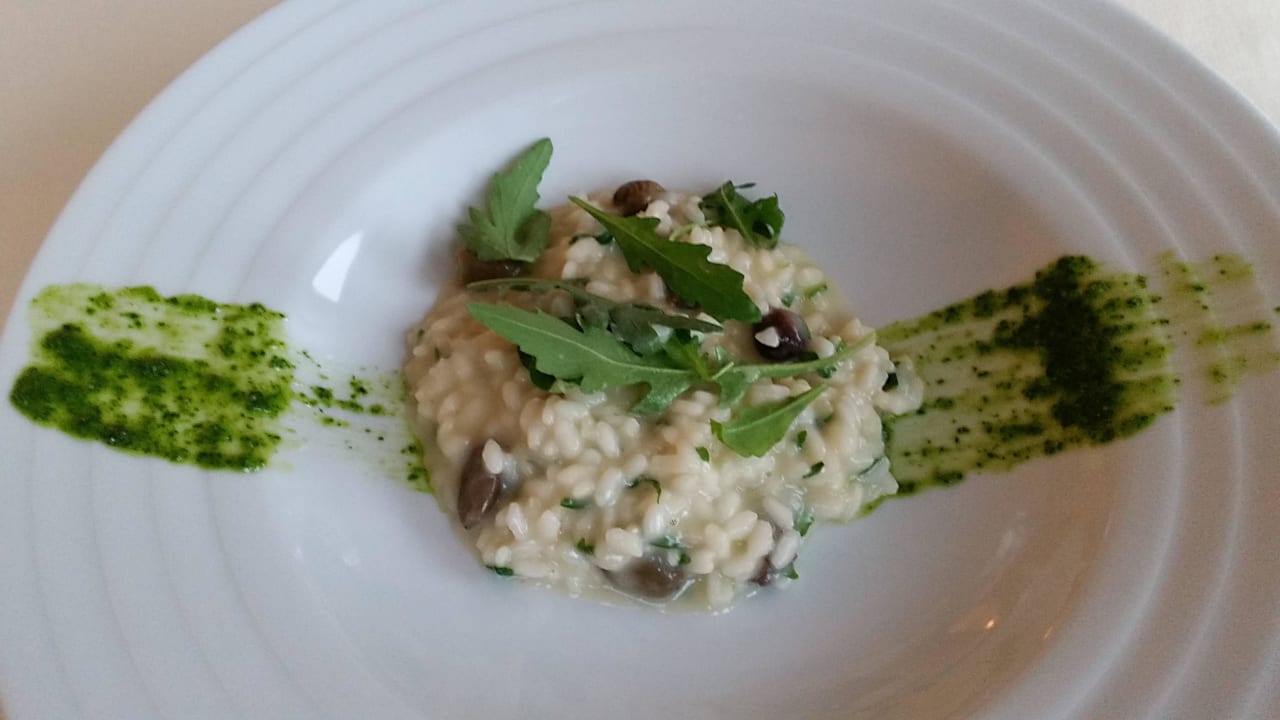 Parmesanrisotto mit Rucola. (Vorspeise) Vitalhotel Rainer