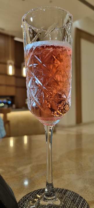 Gastro JAZ Elite Asteria