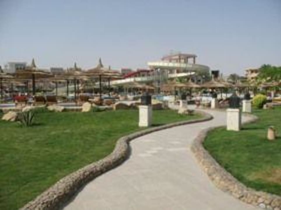 Garden near pool Beach Albatros Resort