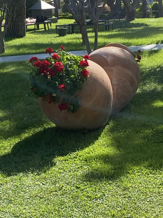 Gartenanlage Hotel Miramare Beach