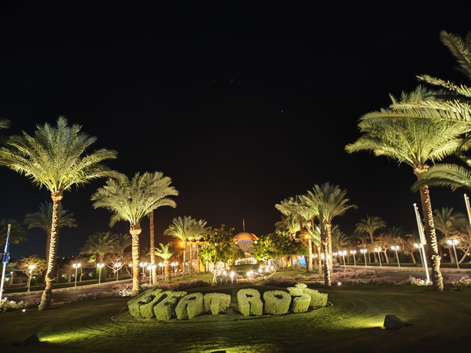 Gartenanlage Desert Rose