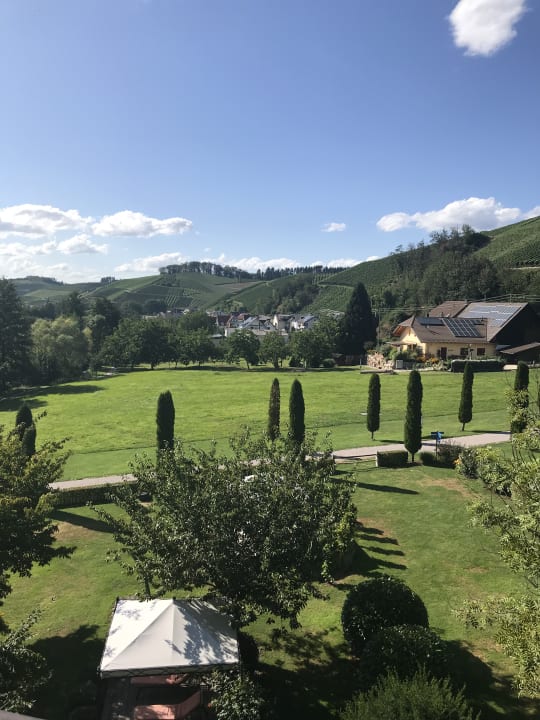 Ausblick Hotel Restaurant Rebstock Durbach
