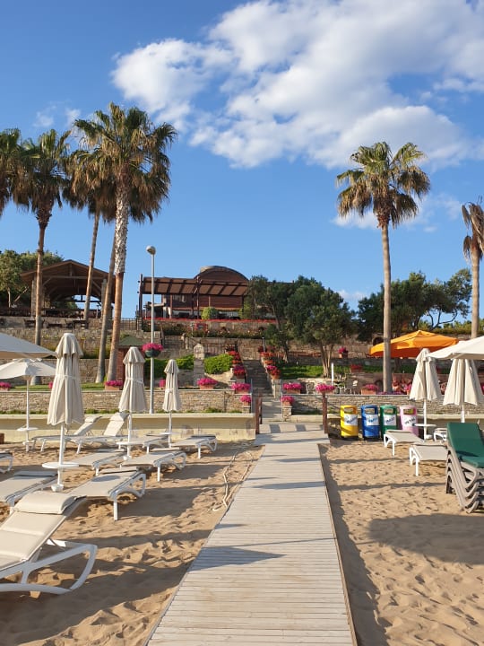 Strand Arum Barut Collection