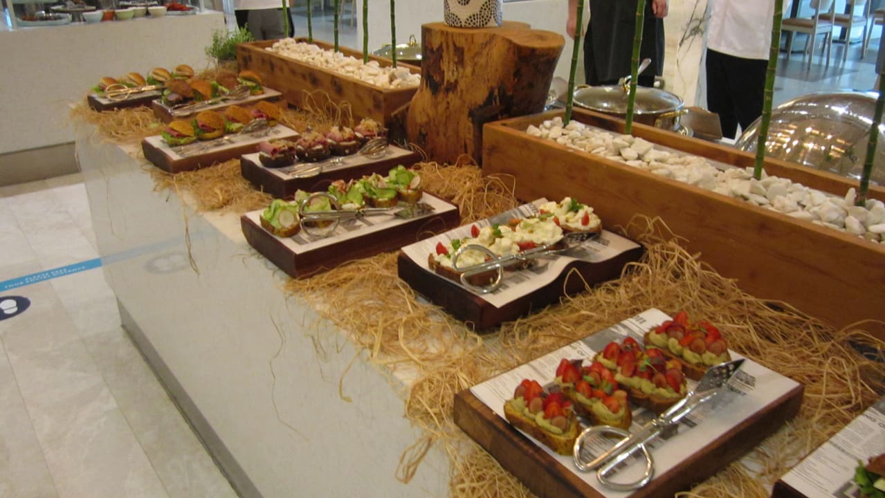 Gastro Acanthus Cennet Barut Collection