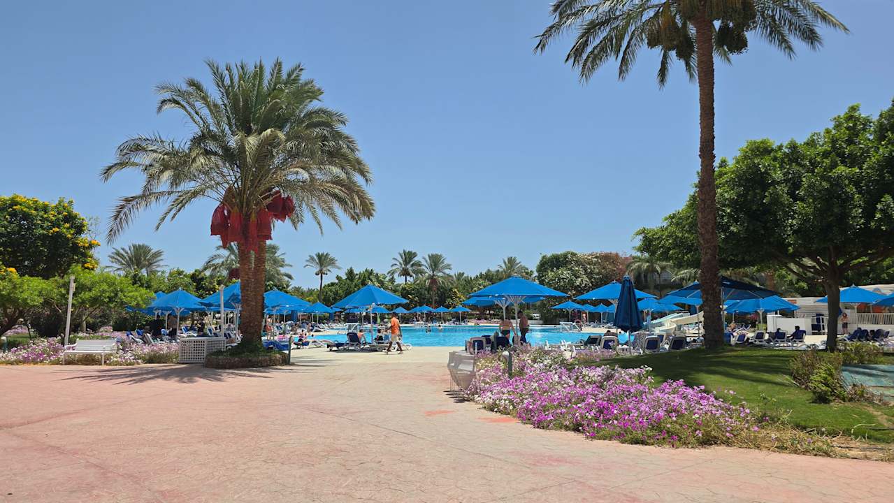 Gartenanlage Desert Rose