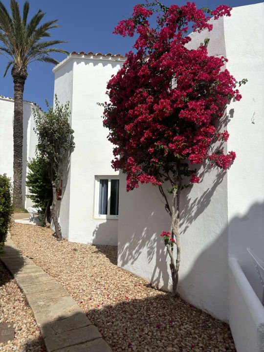 Gartenanlage Marinda Garden Aparthotel