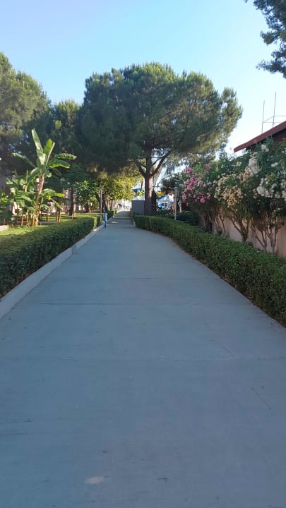 Gartenanlage Master Family Club
