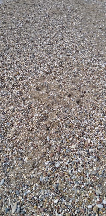 Strand Starlight Resort Hotel