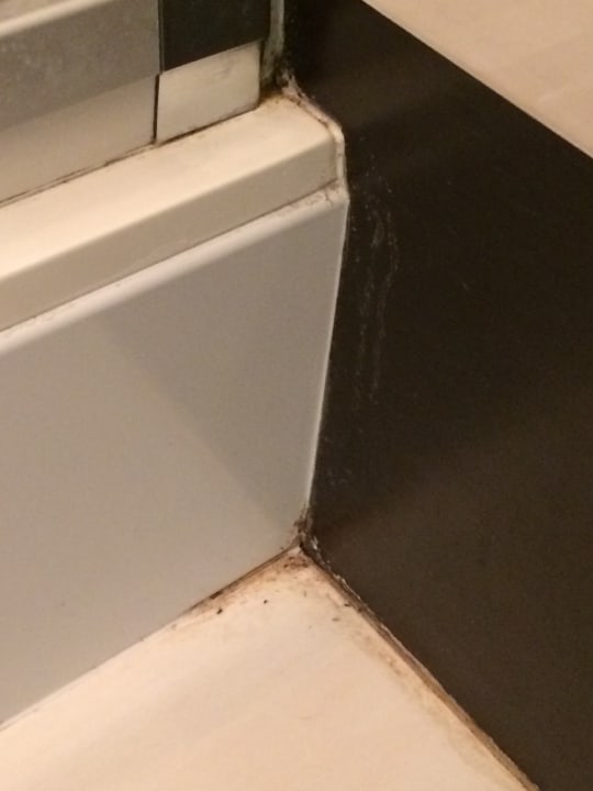 Zimmer Aparthotel Park Avangard