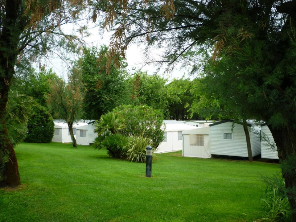 Gartenanlage bei den Mobilhomes nahe am Strand Sant'Angelo Village