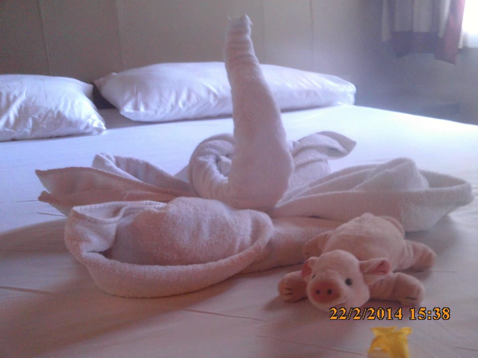 DEKO einmalig jeden Tag Jaz Makadi Oasis Resort