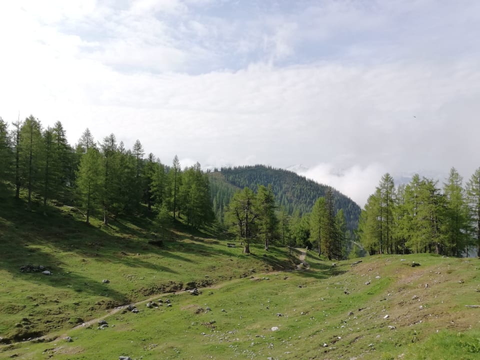 Ausblick Berghotel Türlwand