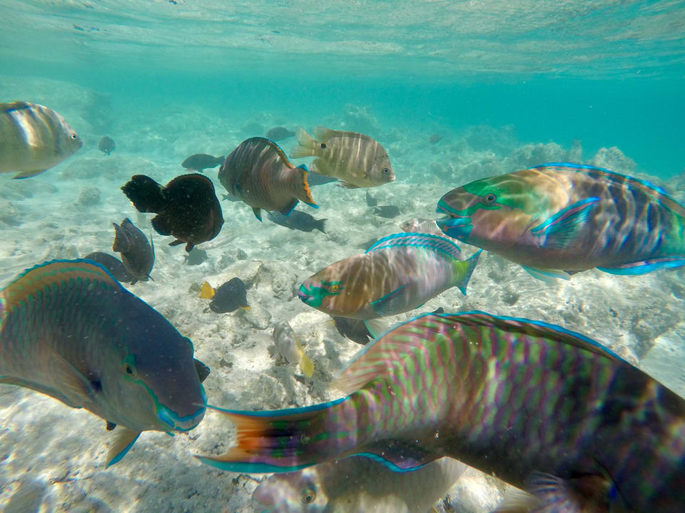 Sport & Freizeit Makadi Spa - Adults only