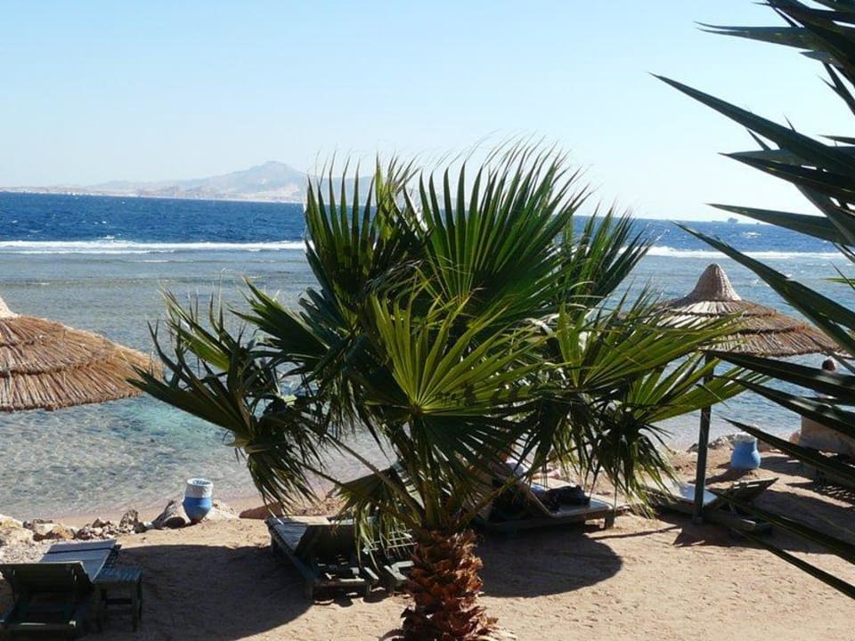 Plaża Hotel Hauza Beach Resort