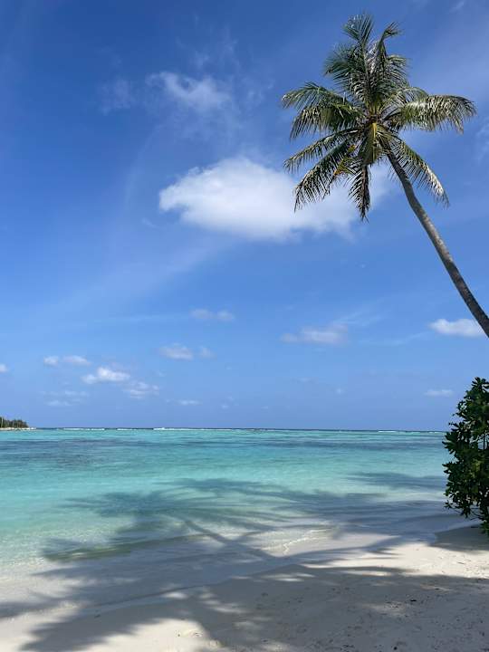 Strand Jawakara Islands Maldives