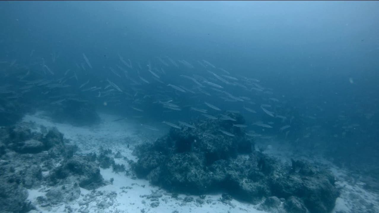 Strand Wyndham Alltra Samana