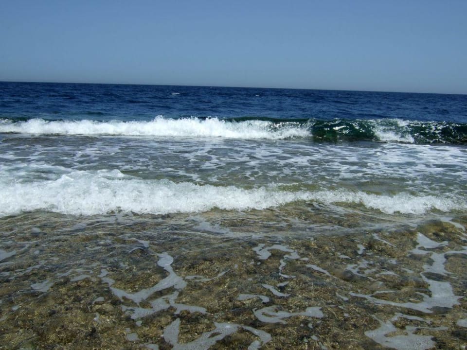 Strand Serenity Alpha Beach