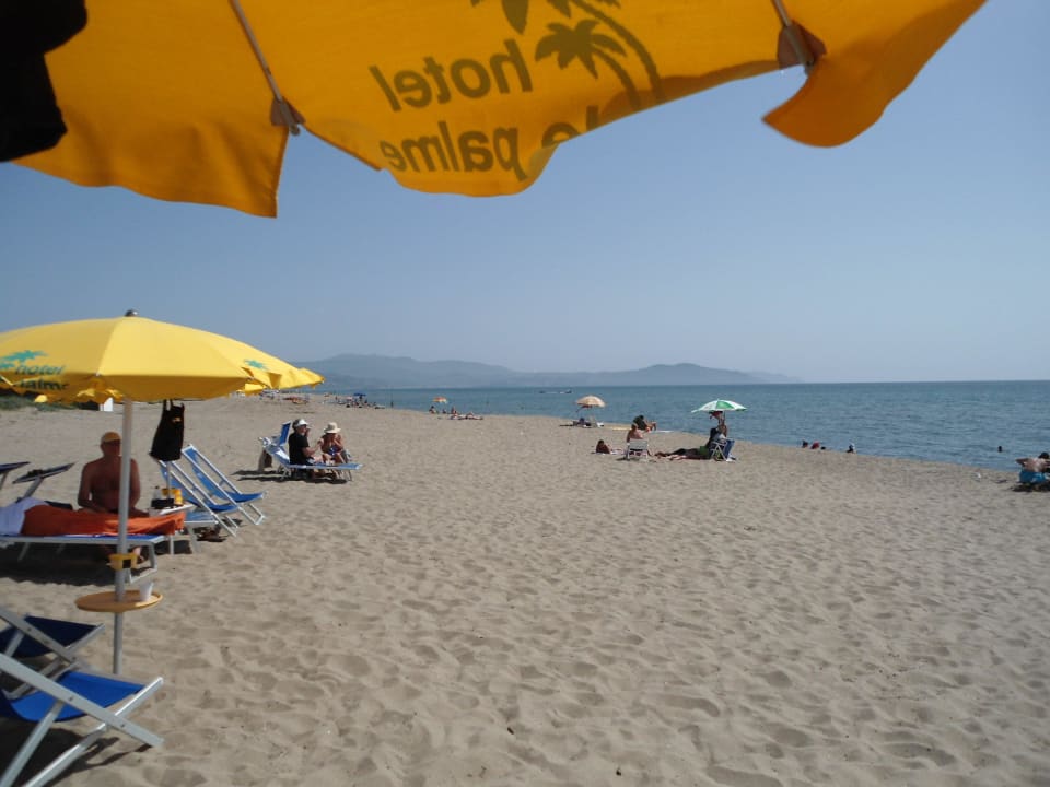 Strandabschnitt vom Hotel Hotel Le Palme