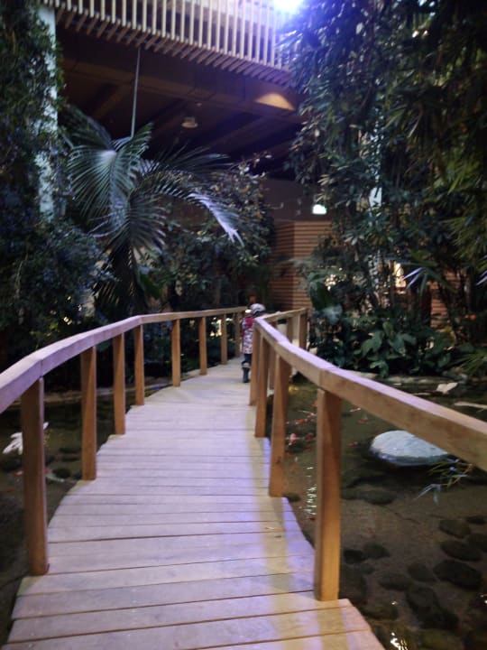 Sonstiges Center Parcs Park Allgäu
