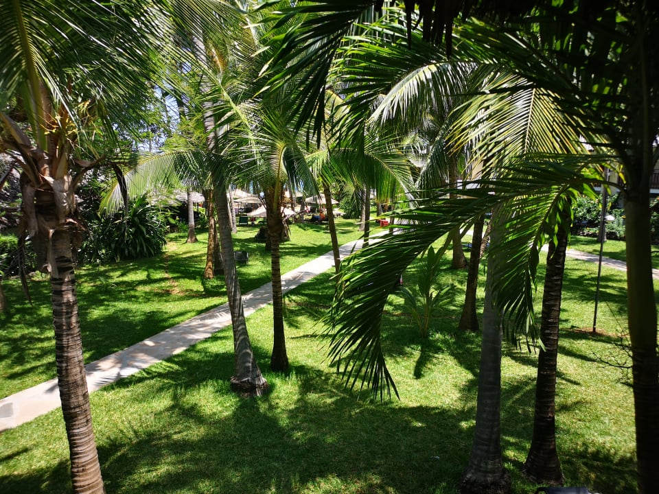 Gartenanlage Bahari Beach Hotel