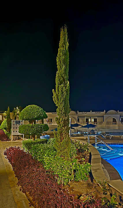 Pool Pickalbatros Palace Resort