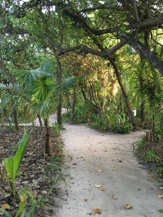 Gartenanlage NH Collection Maldives Reethi Resort