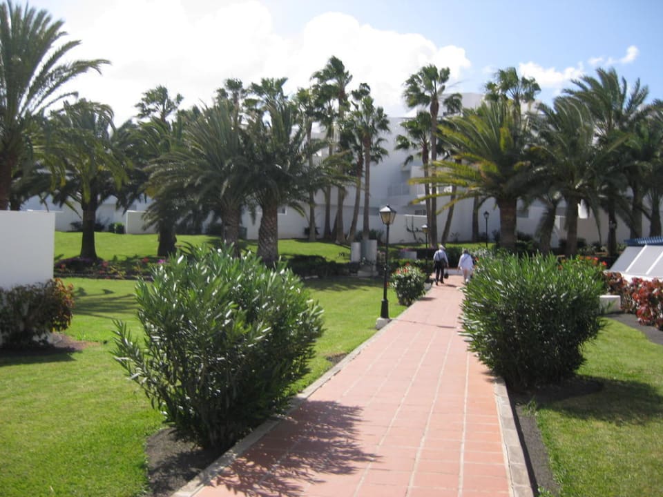 Begrünung der Anlage Hotel Riu Paraiso Lanzarote