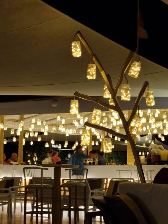 Sonstiges Desert Rose