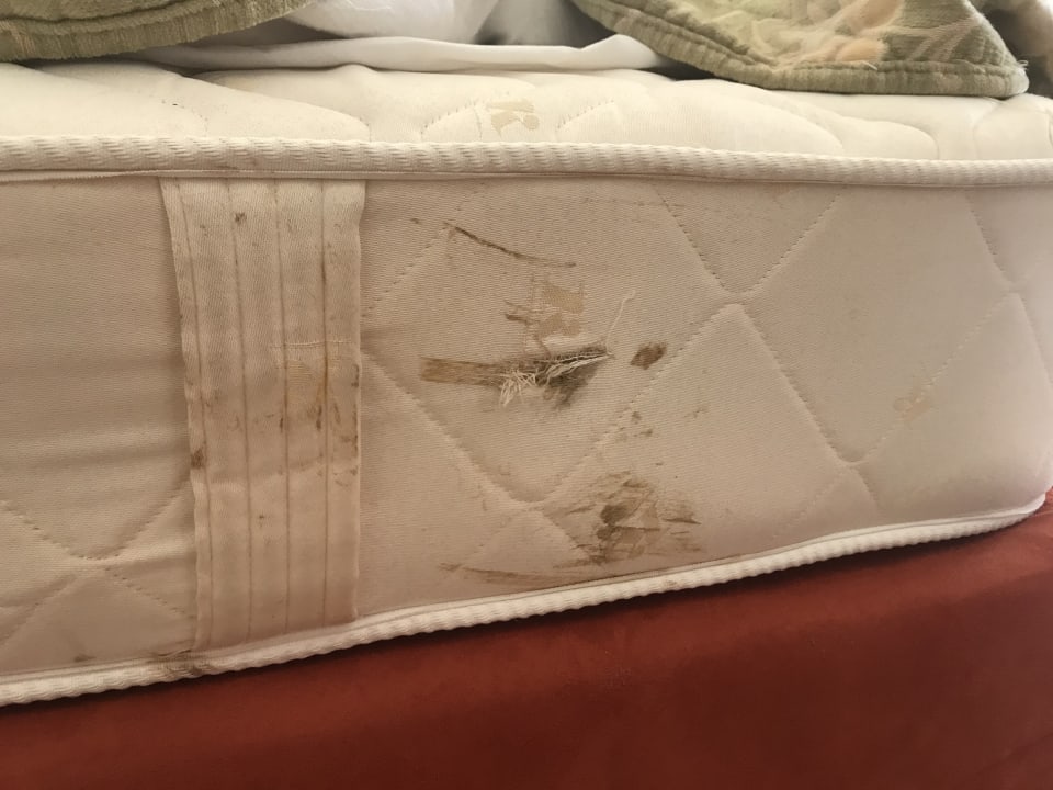 Zimmer Iberostar Origin Playa Alameda