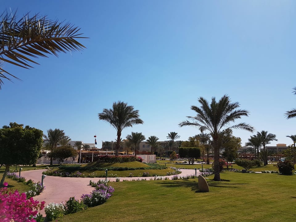 Desert Rose Resort Desert Rose