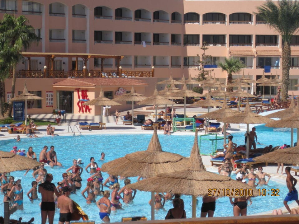 Pool Beach Albatros Resort