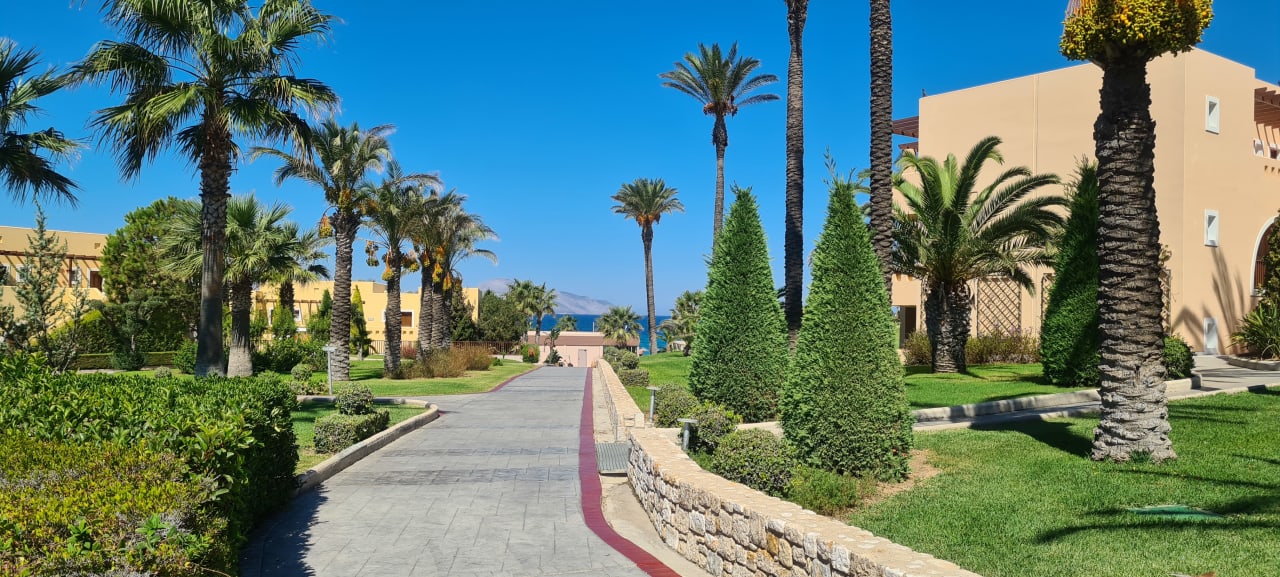 Gartenanlage Hotel Horizon Beach Resort