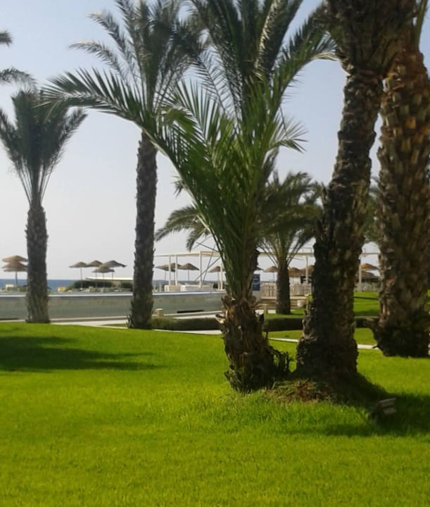 Blick von der Frühstücksterrasse Iberostar Waves Averroes