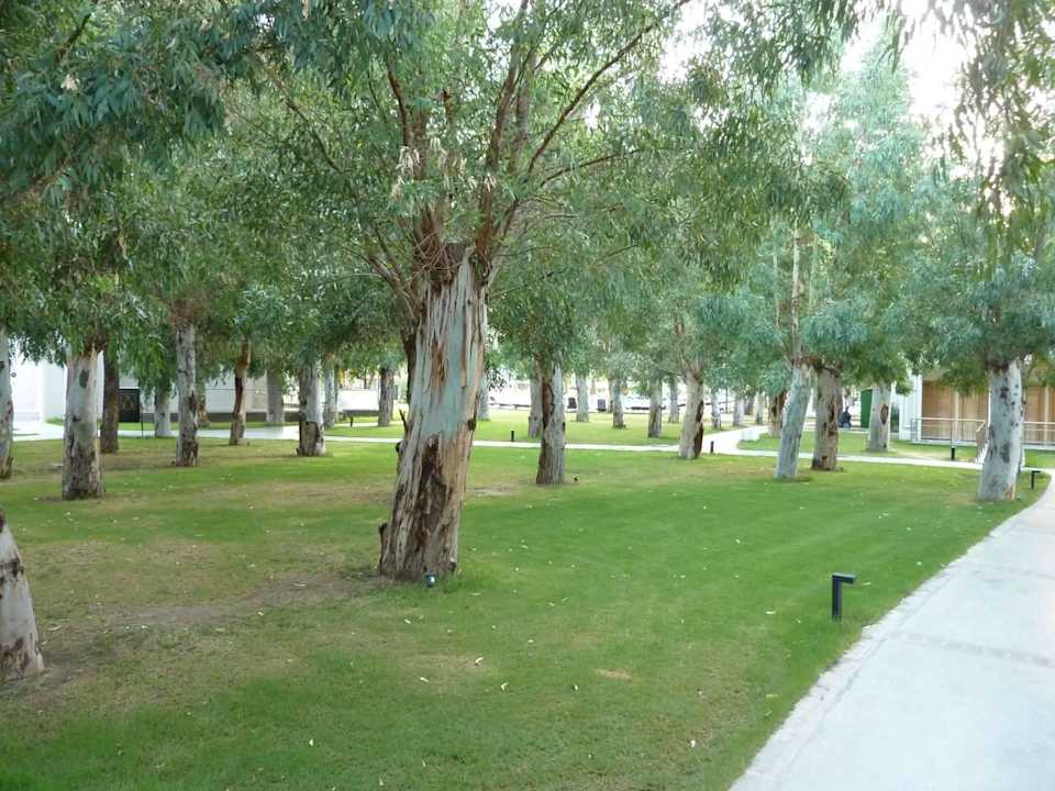 Garten Asteria Venus Didim