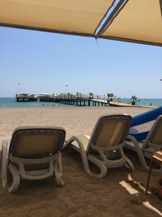 Strand Royal Seginus