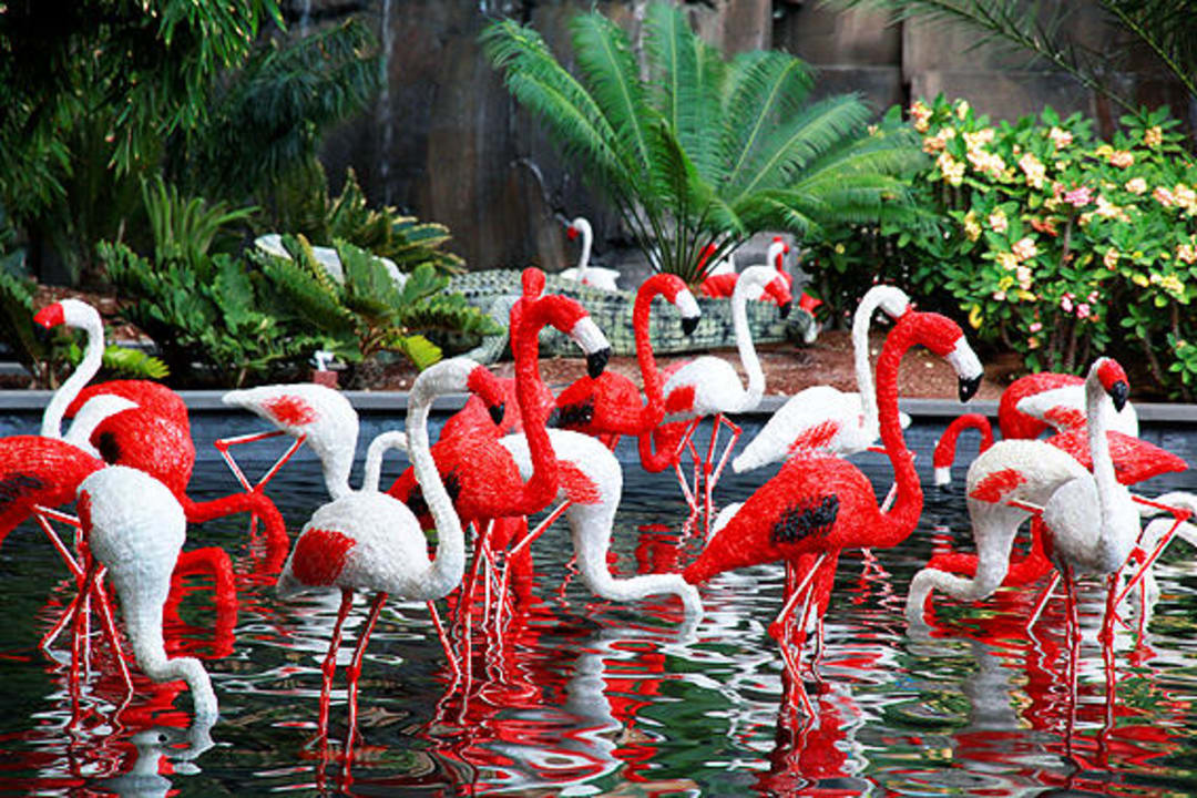 Flamingos Lopesan Baobab Resort