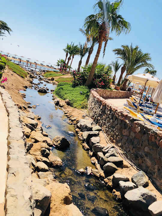 Gartenanlage Mövenpick Resort & Spa El Gouna