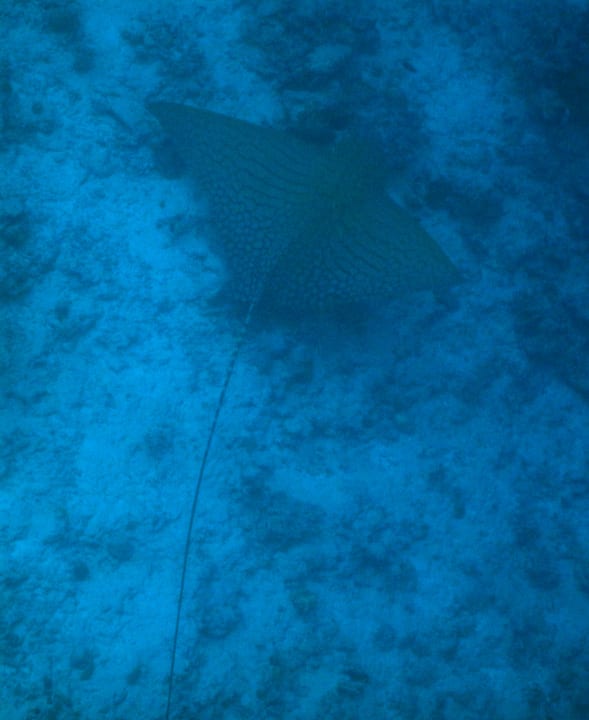 Sport & Freizeit Hondaafushi Island Resort