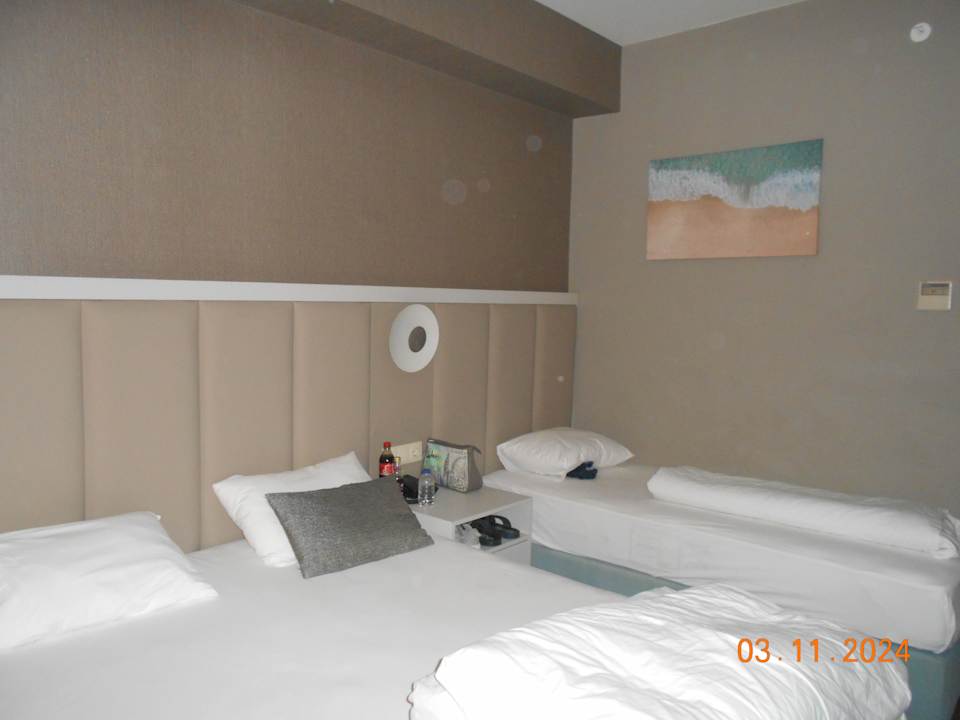 Zimmer Dream Water World