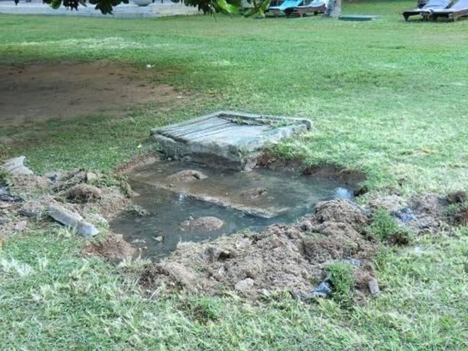 Fäkalien auf der Liegewiese Earl’s Reef Beruwala