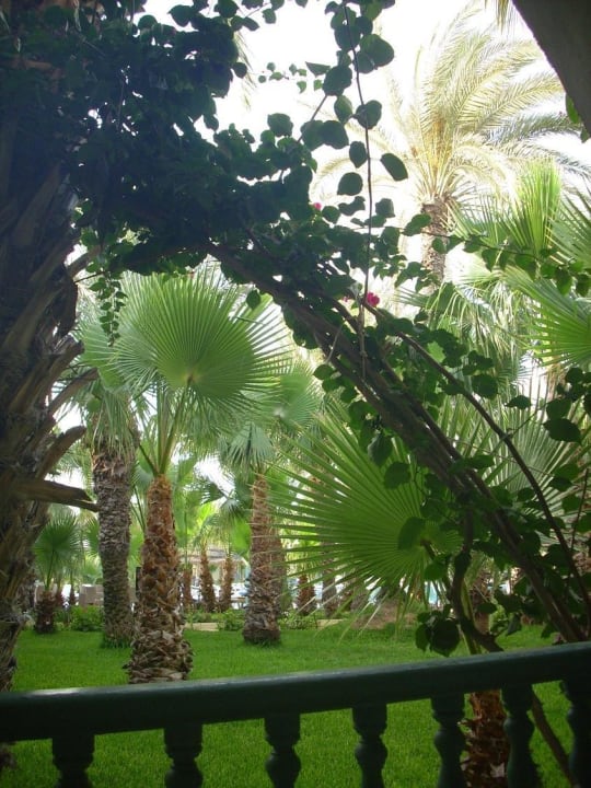 Blick aus Zimmer 104 The Ksar Djerba Charming Hotel & SPA