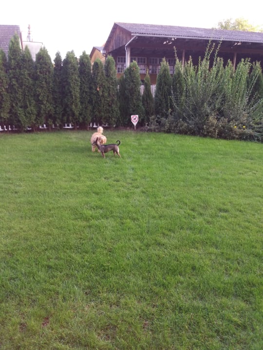 Ausblick Ferienwohnungen Kerschbaum