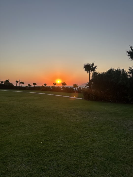 Gartenanlage Hotel Horizon Beach Resort